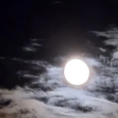 Profile image of 선택창