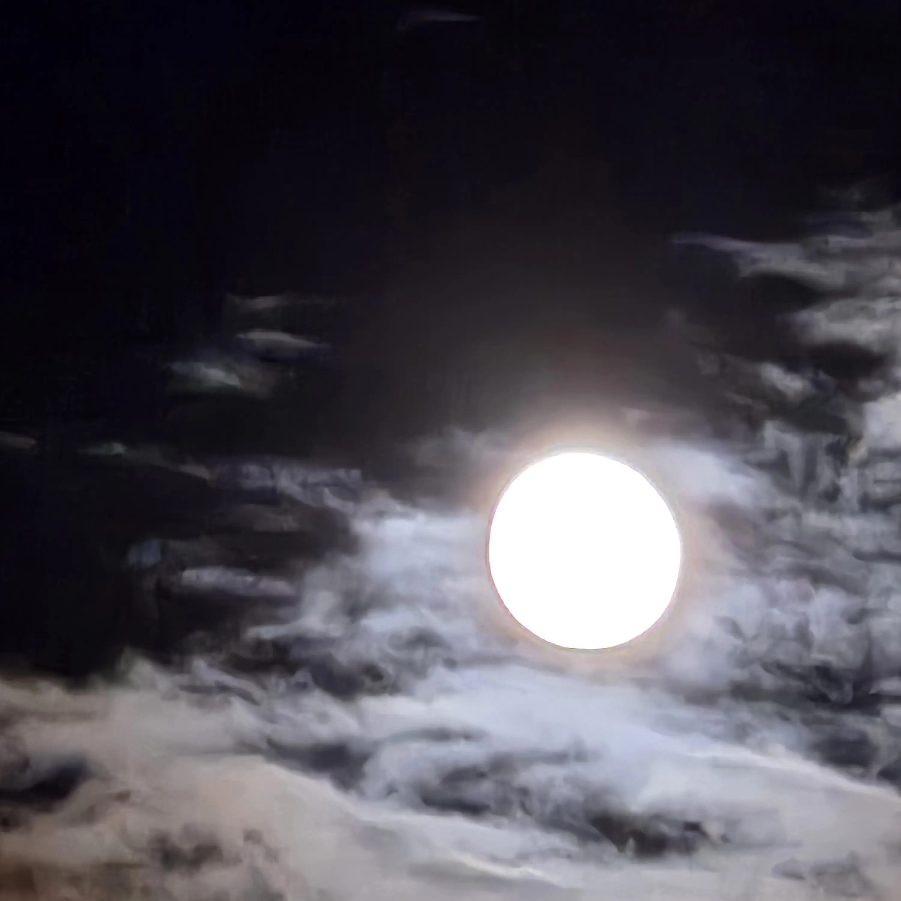 BoredGar5048의 배우 체험