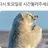 소꿉친구들