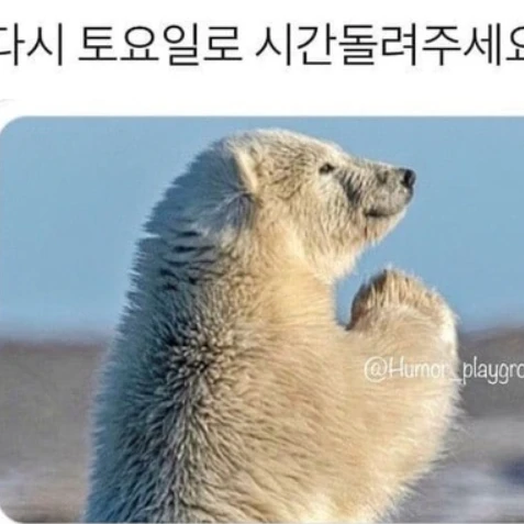 소꿉친구들