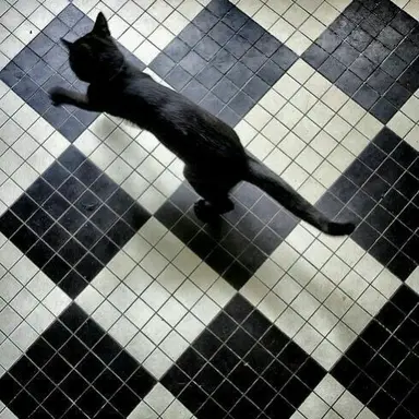 Profile image of 남인석