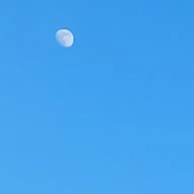 Profile image of 쉐밀