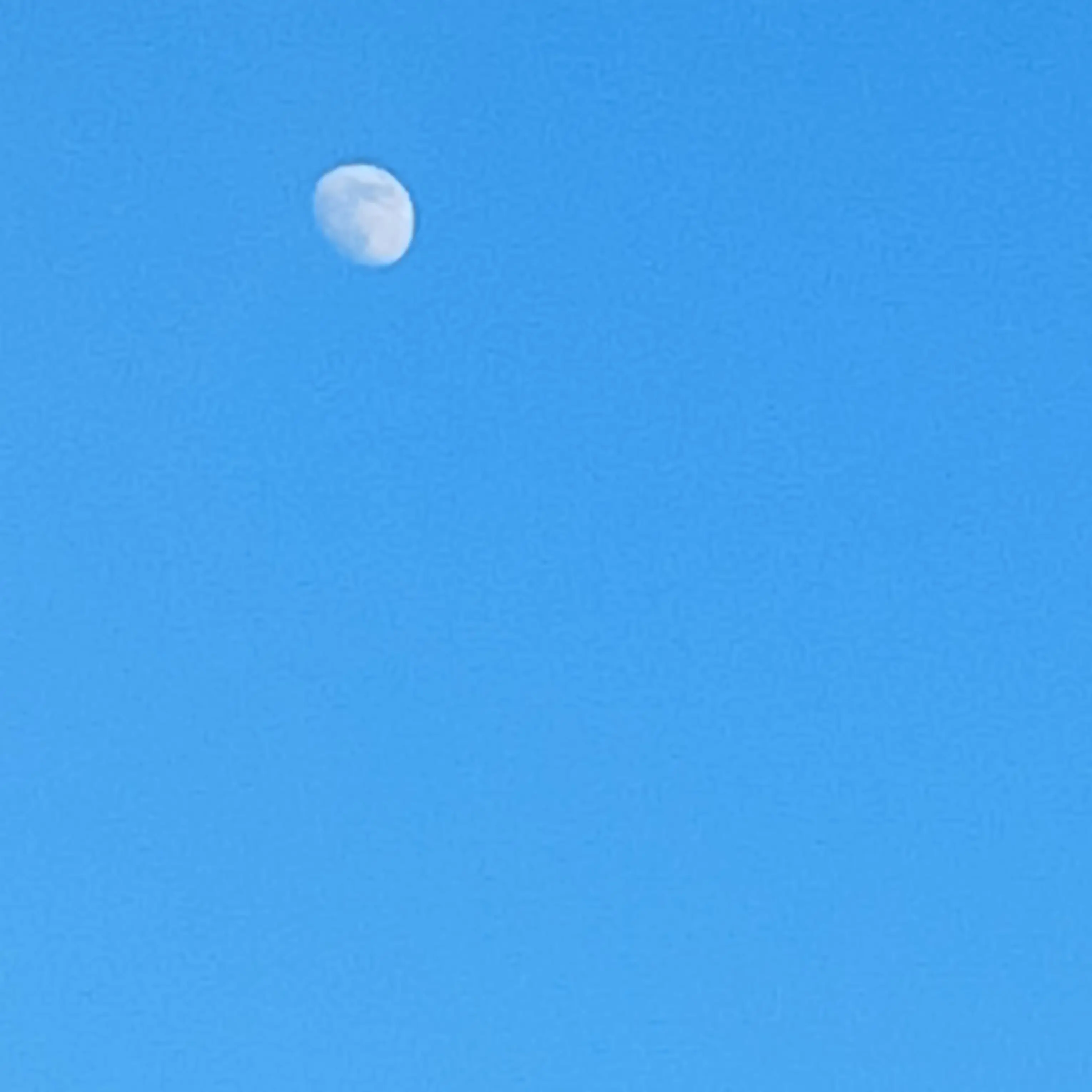 Snow_flake_fox_soda의 쉐도우밀크