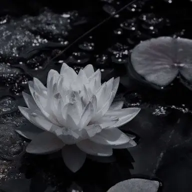 Profile image of 우융