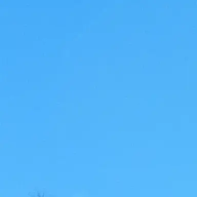 Profile image of 명호