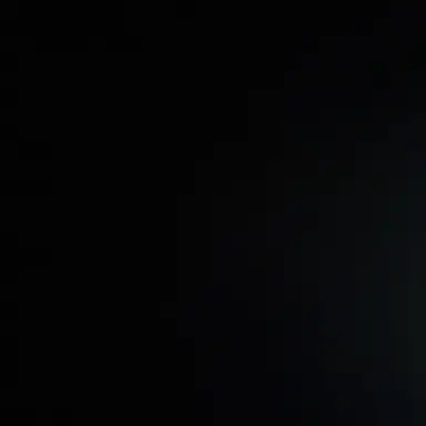 Profile image of 담임