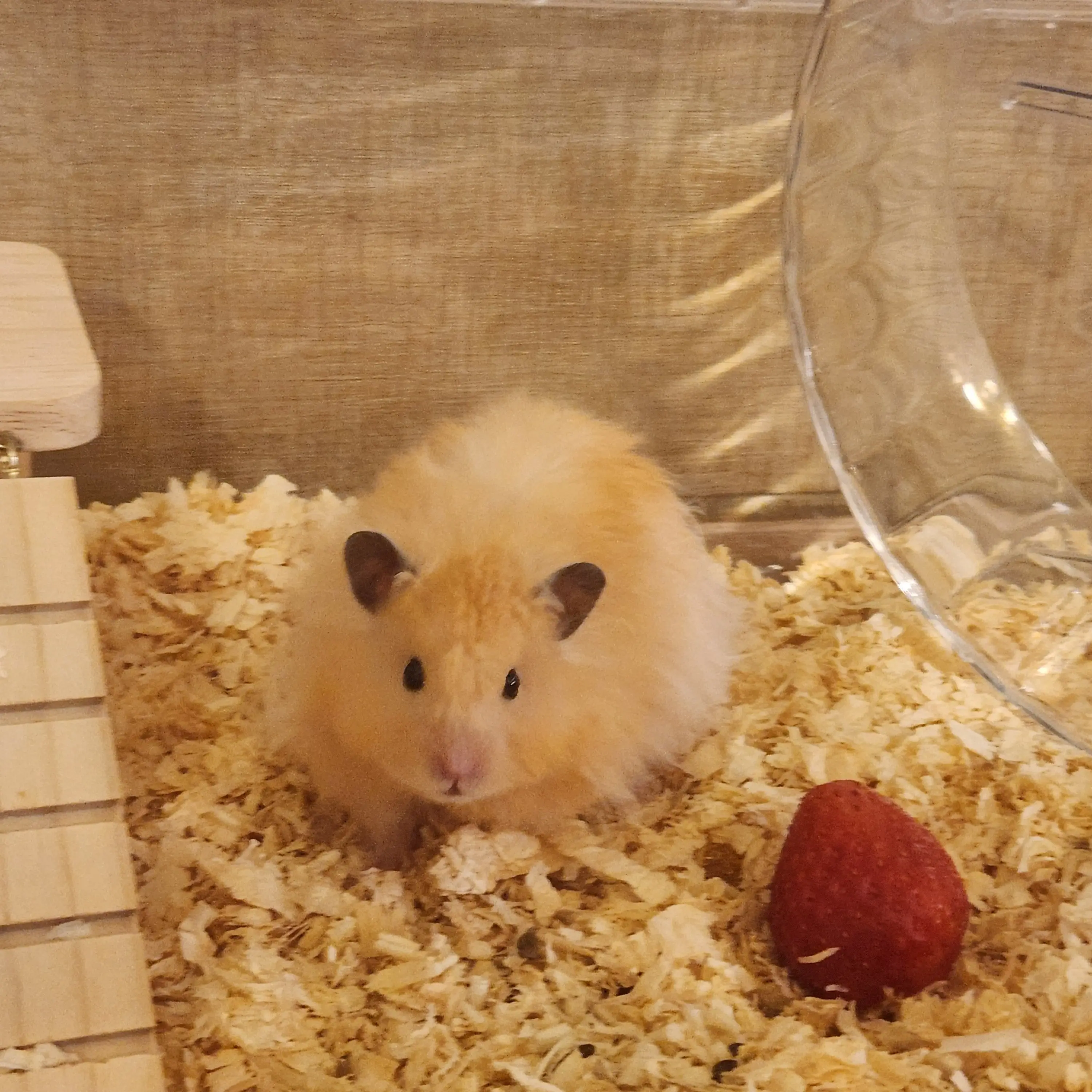 MintyGlass3807의 그 겨울 바람이분다.