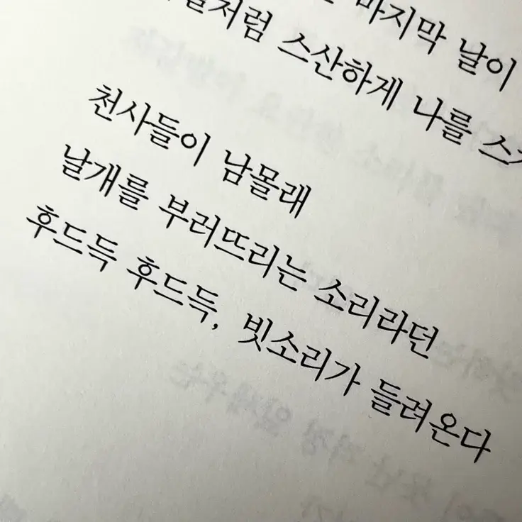 쿨키드가 싸우고왔다 대표 이미지