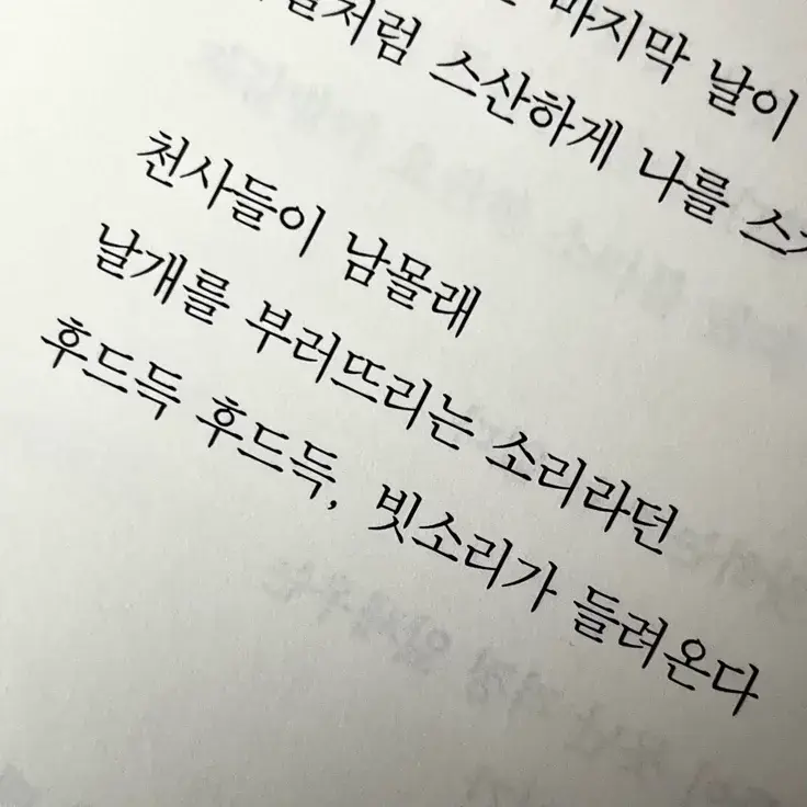 mocha127의 쿨키드가 싸우고왔다