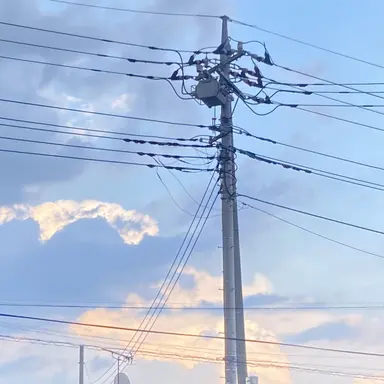 Profile image of ツータイムの親