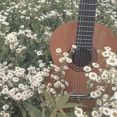 Profile image of 한송