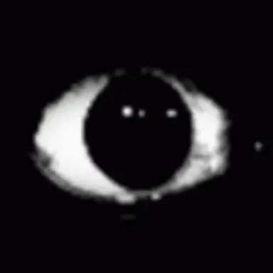 Profile image of 주인장