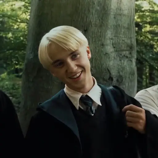 LovelyMud6325의 Draco Malfoy