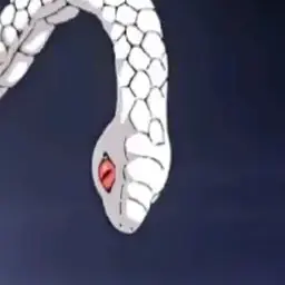 Profile image of 카부라마루