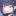杏山　カズサ
