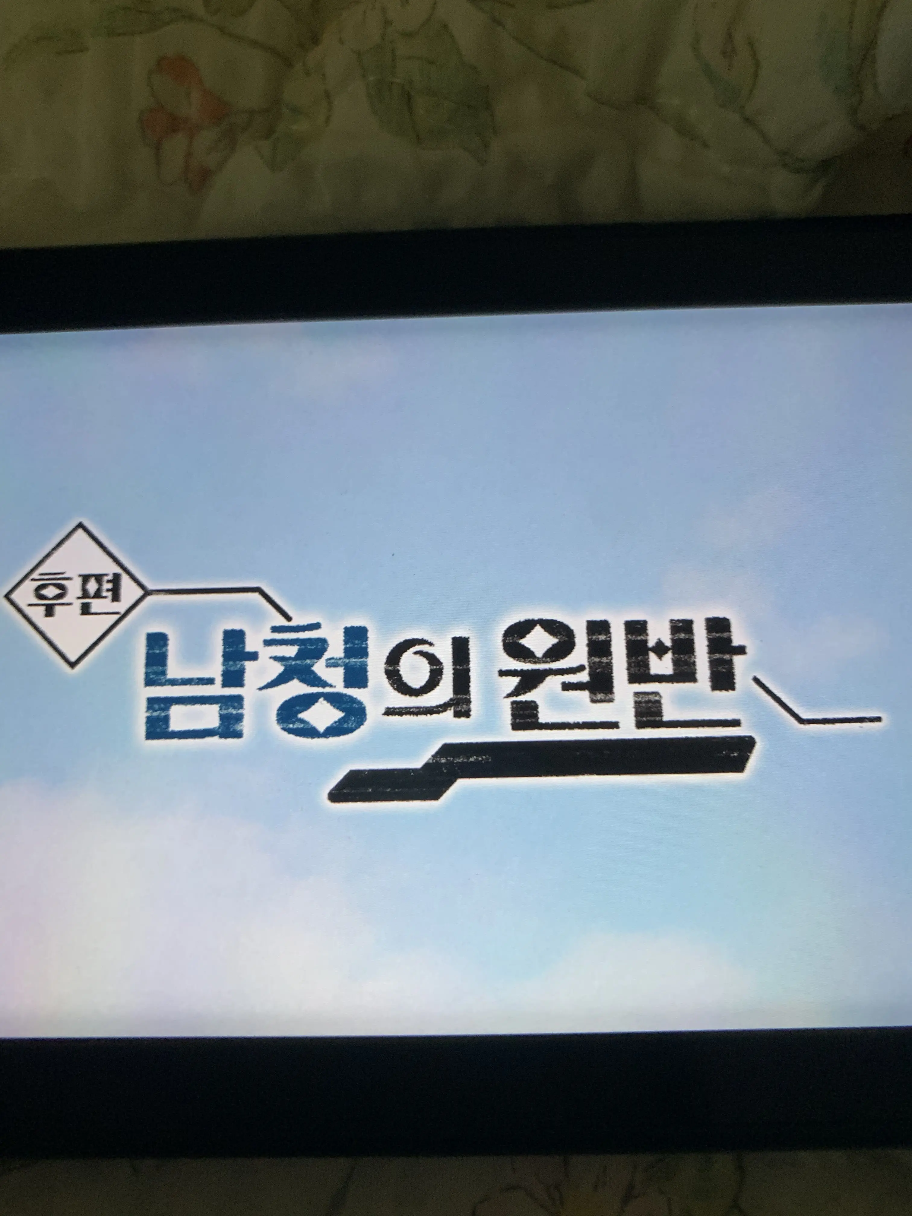 AReee의 블루베리 리그 사천왕,챔피언