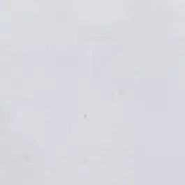 Profile image of 박민영