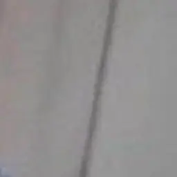Profile image of Z