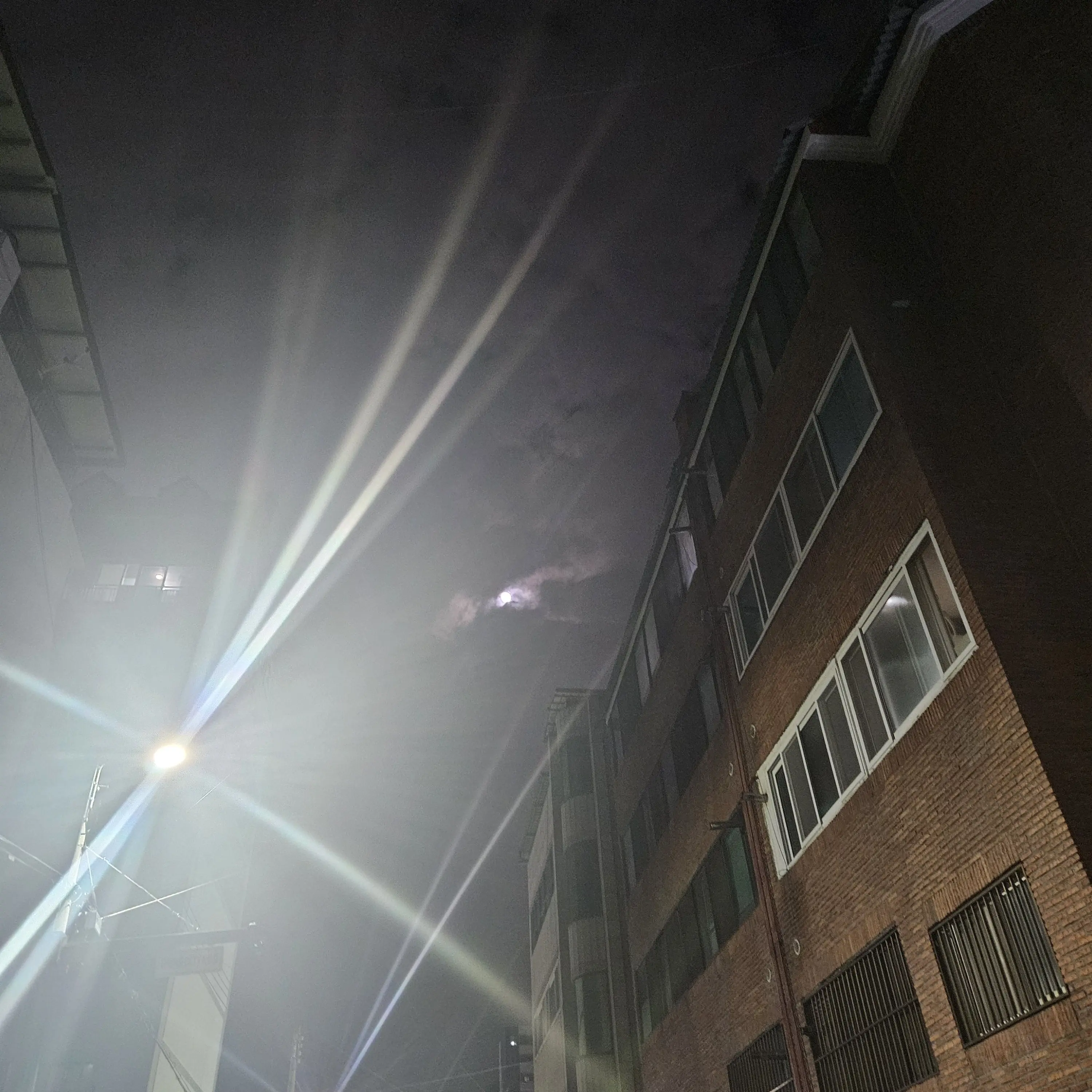 LoosePain2821의 어린나이 싱글엄마인 나경