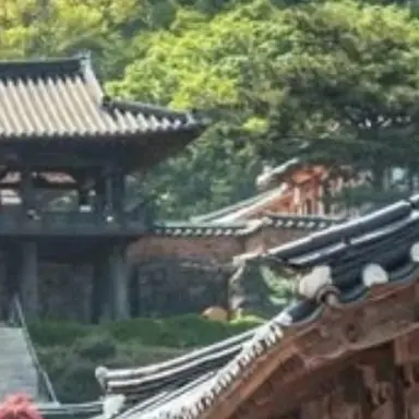 Profile image of 정공룡