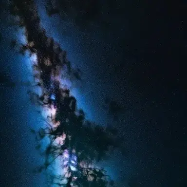 Profile image of Free World