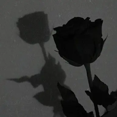 Profile image of 황수현