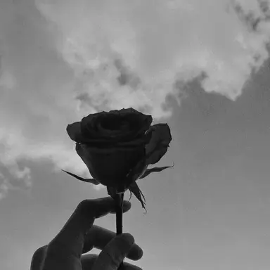 Profile image of 박잠뜰