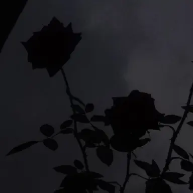 Profile image of 정공룡