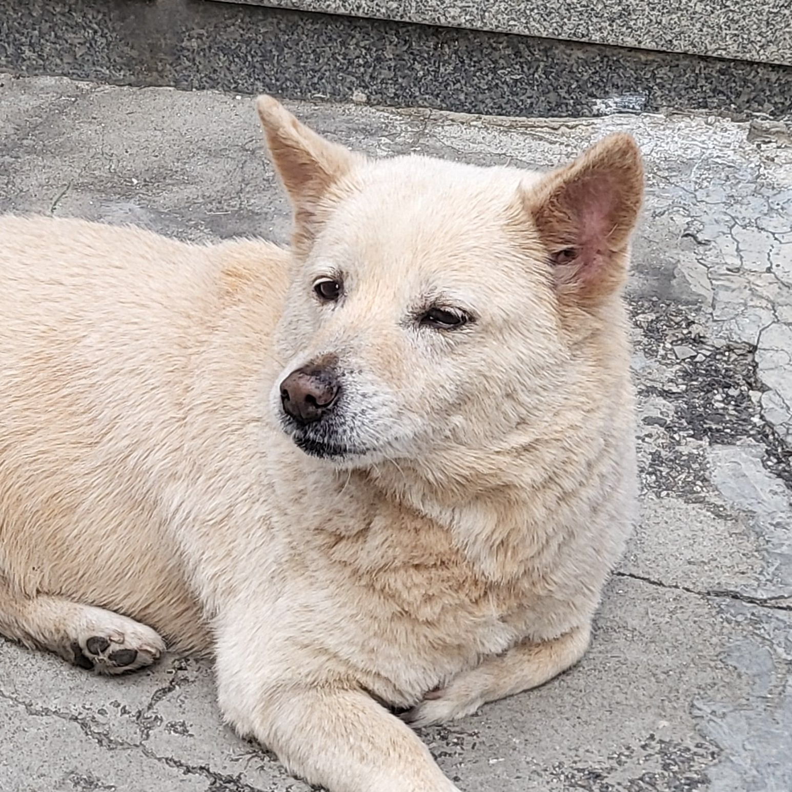 소방서 옆 경찰서 대표 이미지