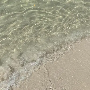 Profile image of 잠뜰