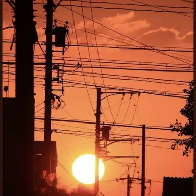 Profile image of 덕개