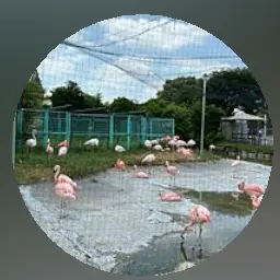 Profile image of そうた