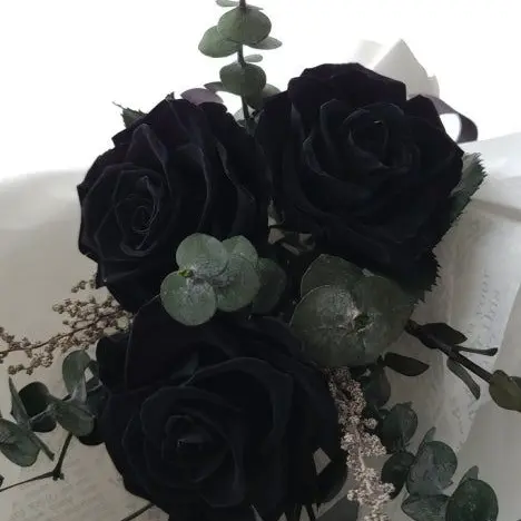 ppeenngguuiinn의 공지 및 투표(?)