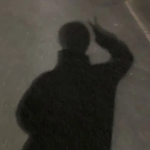 風雅