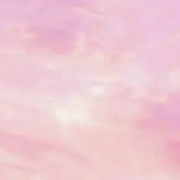 Profile image of 野薔薇