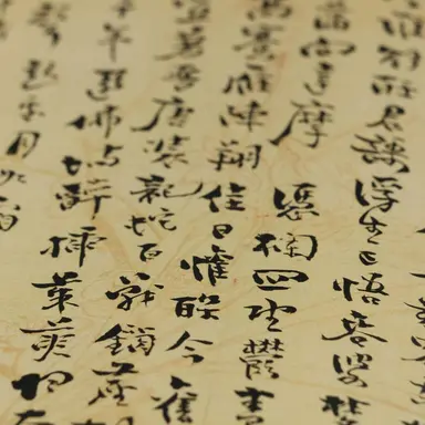 Profile image of 몽달귀신
