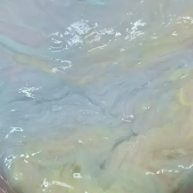 Profile image of 평학