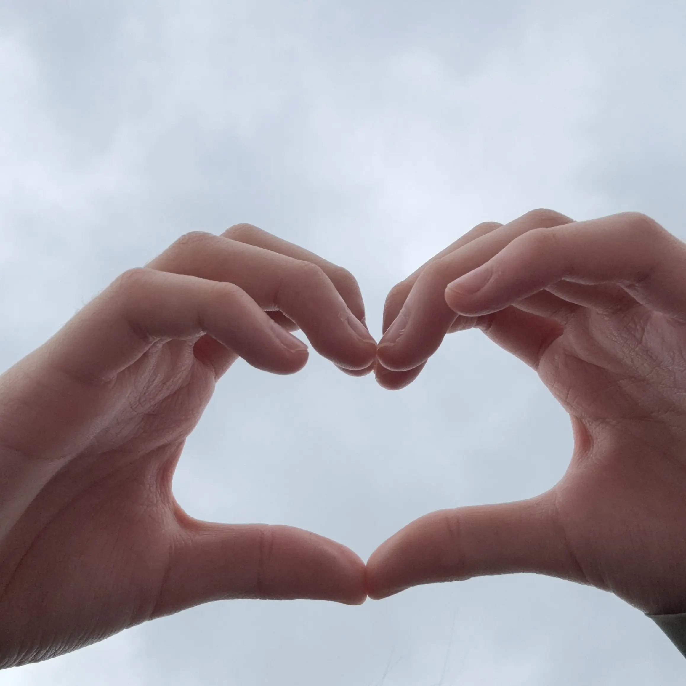 MaziJ186의 스텔라이브