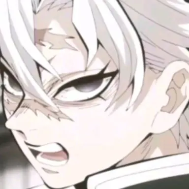 Profile image of 시나즈가와 사네미