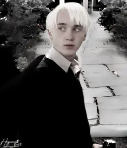 Profile image of Draco