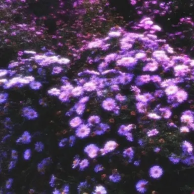 Profile image of 평학