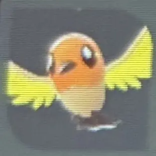 Profile image of カナダ