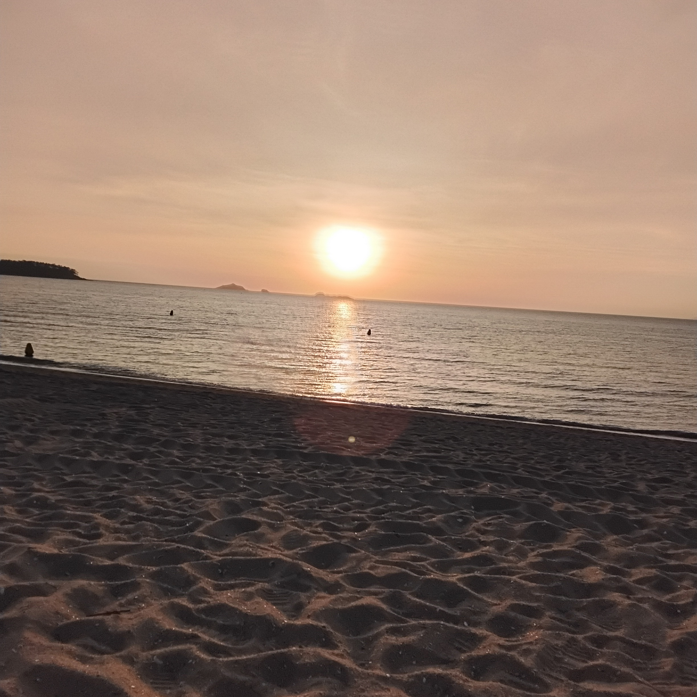 사랑해. 너. 대표 이미지