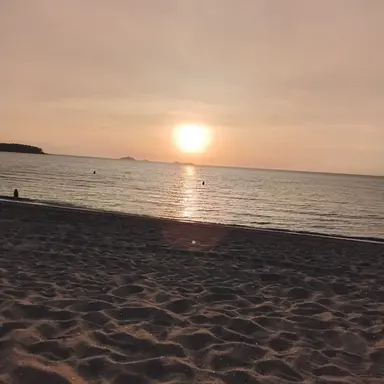 Profile image of 김도영