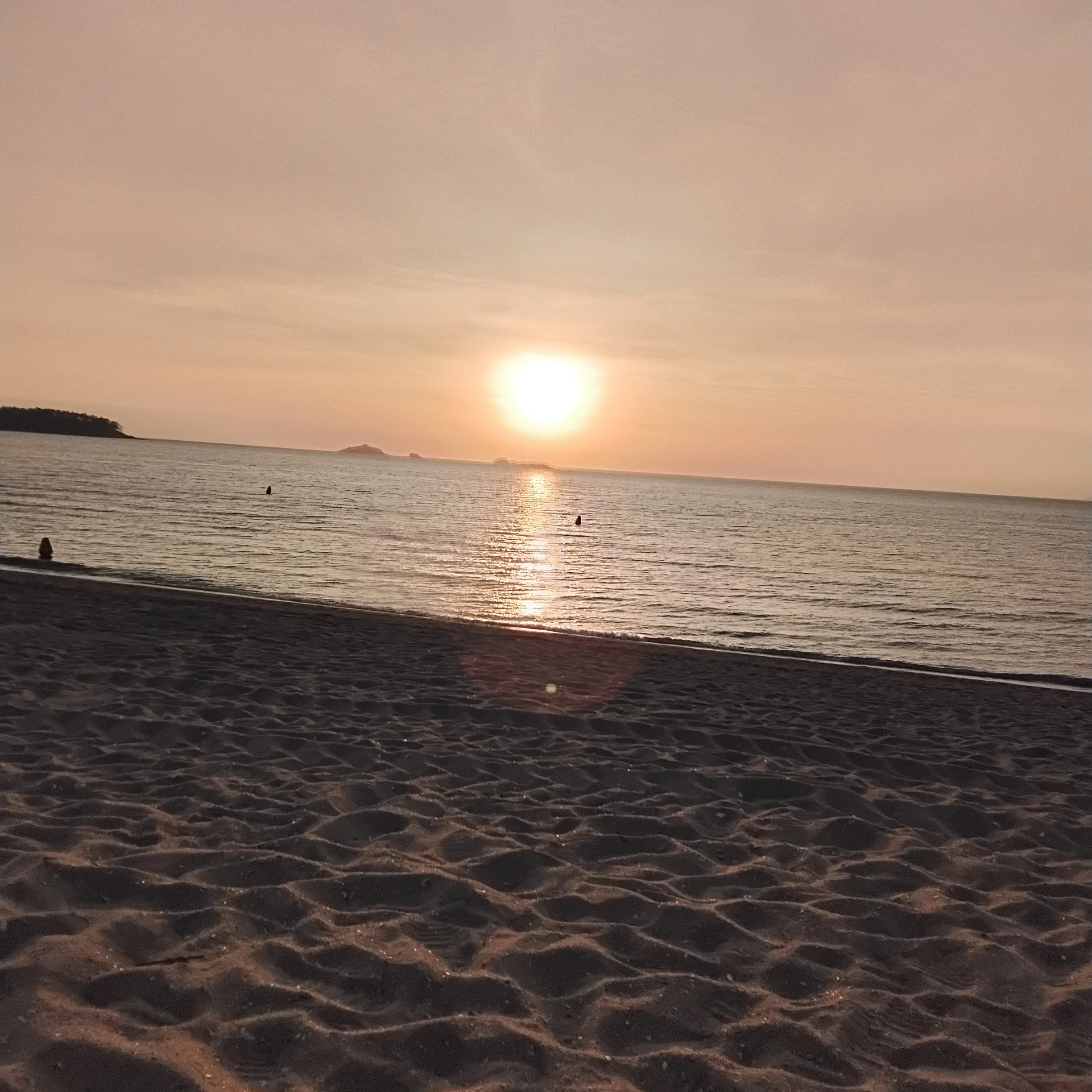 김도영