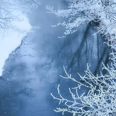 Profile image of 솔져