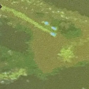 Profile image of ミンギュ