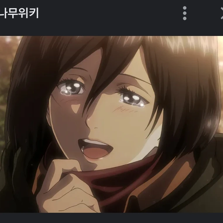 미카사