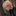 Draco Malfoy