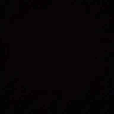 Profile image of 이리오